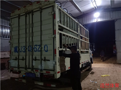 發往天津的學校體育用品裝車記錄 發往天津的學校體育用品裝車記錄