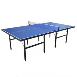 訓練乒乓球臺